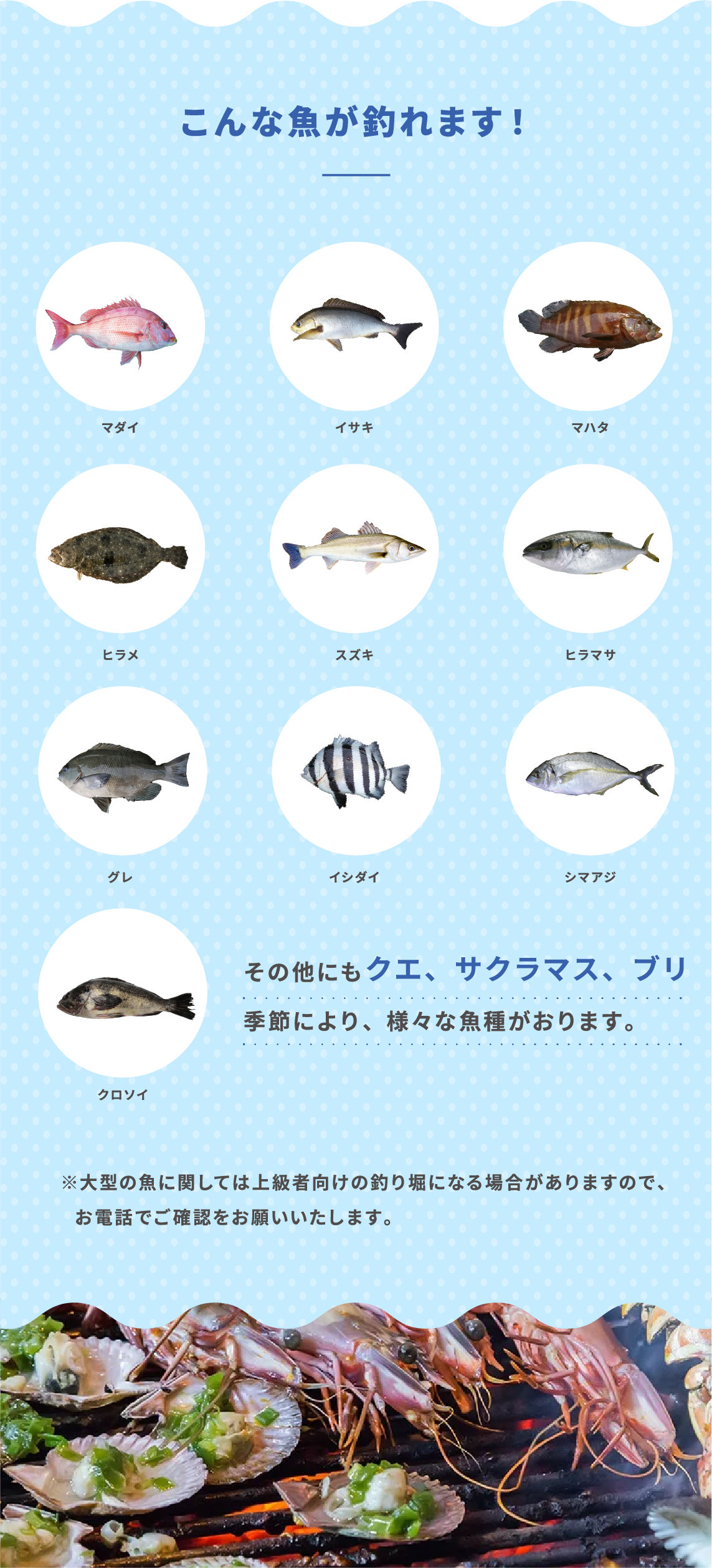 こんな魚が釣れます！